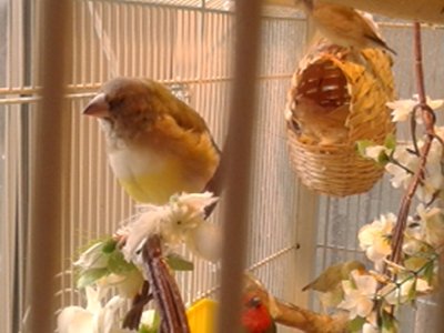 20150213_091659.jpg