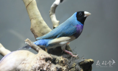 IMG_6724_副本.jpg