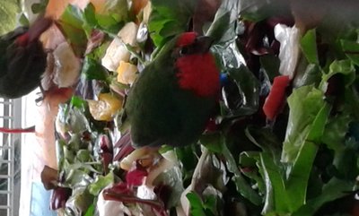 20150116_140034.jpg