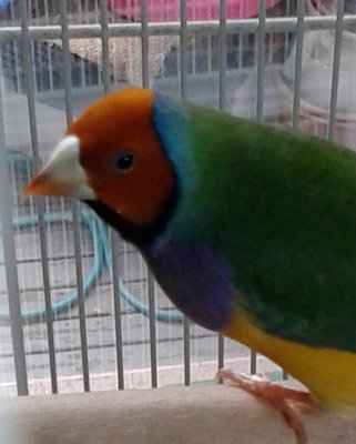 20140816_130755-2.jpg