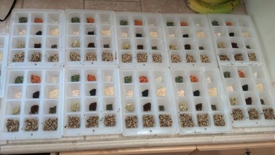 Vacation Bird Seed trays.jpg