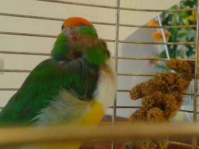 20150220_151932.jpg
