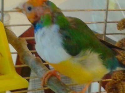 20150220_143132.jpg