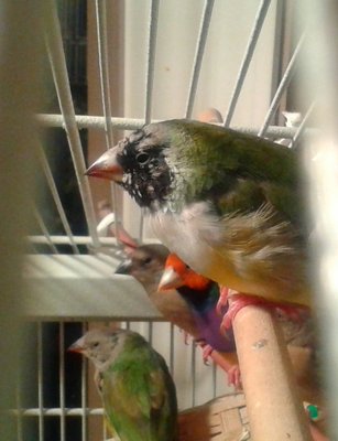 20150221_183641-1.jpg