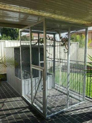 cage.jpg