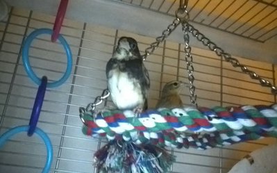 KINDLE_CAMERA_1423197417000.jpg