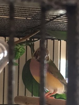 Yr old female