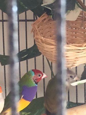Yr old male