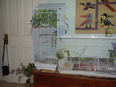20100401_03.jpg