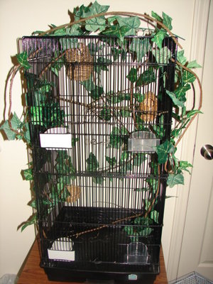 Here is there cage!