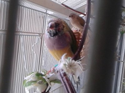 20150305_131126.jpg