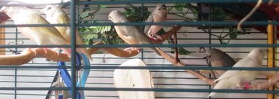 IMG_1725 (500x177).jpg