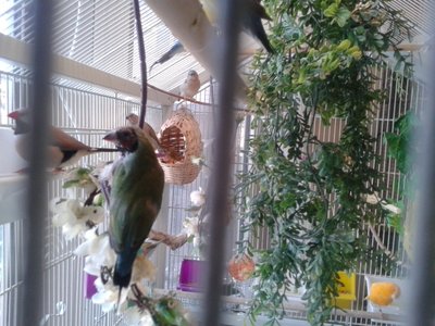 20150310_142358.jpg