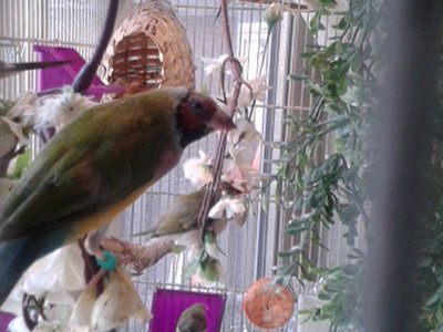 20150310_142408.jpg