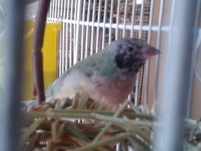 20150310_142440.jpg