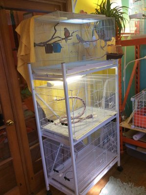 stacked cages.jpg