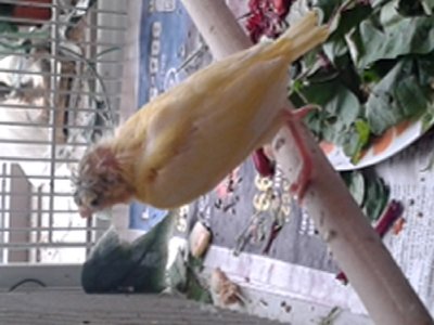 20150315_131147.jpg