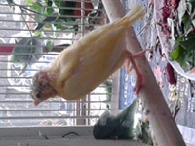 20150315_131200.jpg