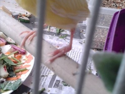 20150315_131126.jpg