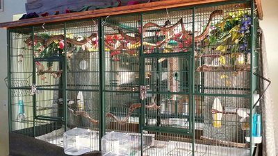 cage 22.jpg
