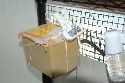 Here is a close up of the nest on the cage.  Also the nestcam on the nest.