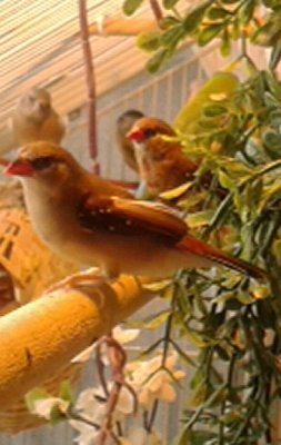20150213_091800-1-1.jpg