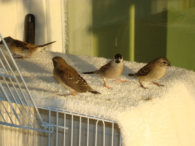 DSC05863.JPG