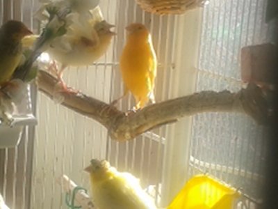 20150325_095959.jpg