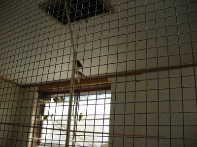 This is it with birds.