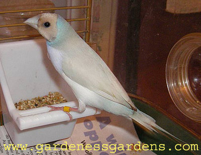 Casper111307b.jpg