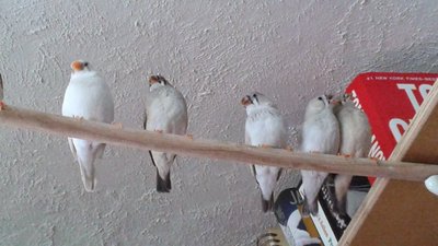 5 babies & mom.jpg