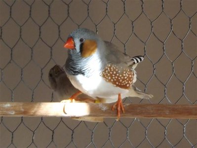 DSCF4502 (Small).JPG