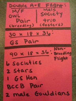 Set Up 2: 1 double flight (with divider in), 1 single flight &amp; 1 triple flight.