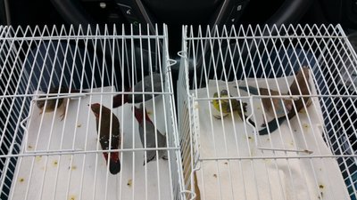 20150407_162404.jpg