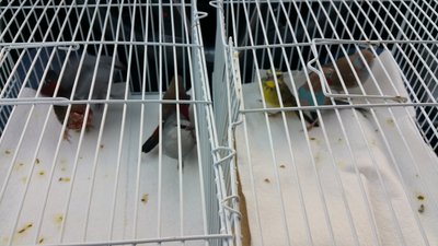 20150407_162412.jpg