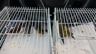 20150407_162457.jpg
