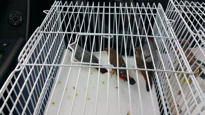 20150407_162740.jpg