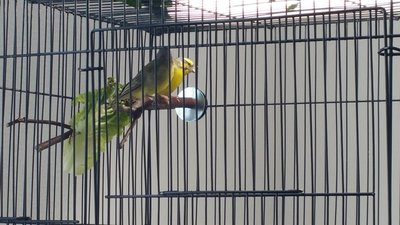 20150408_140753.jpg