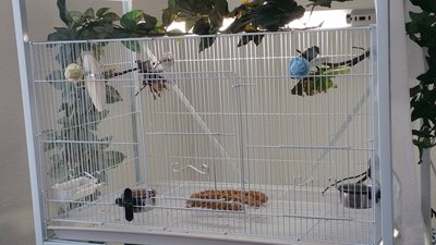 20150408_140832.jpg