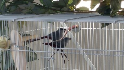 20150408_140845.jpg