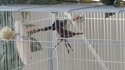 20150408_140848.jpg