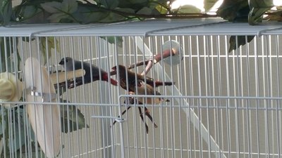 20150408_140856.jpg