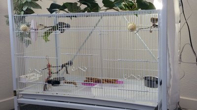 20150408_140916.jpg