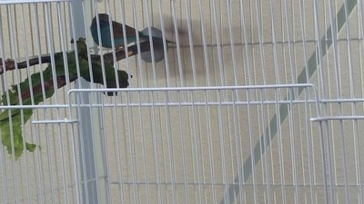 20150408_140943.jpg