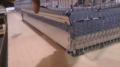 image(8).jpg