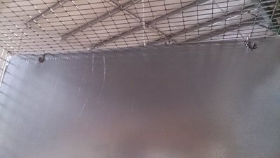 image(11).jpg