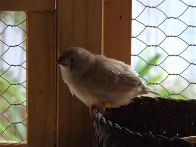 DSCF4557 (Small).JPG