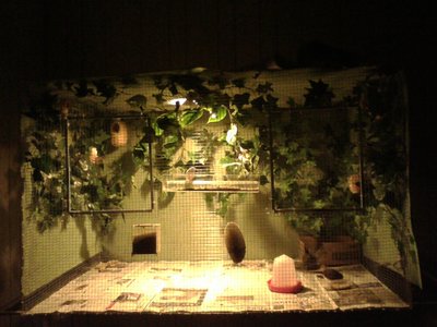 IMG_20150417_004103.jpg