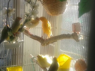 20150325_095950.jpg