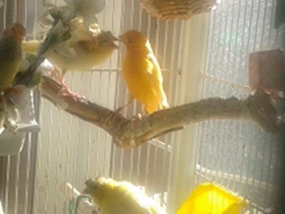 20150325_095956.jpg